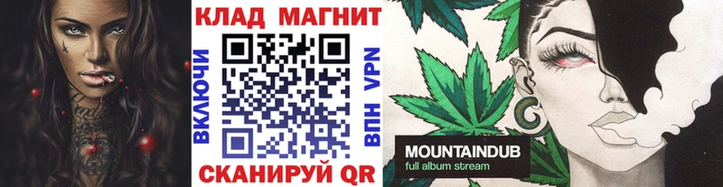 МДМА Шенкурск