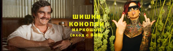 дмт Нягань