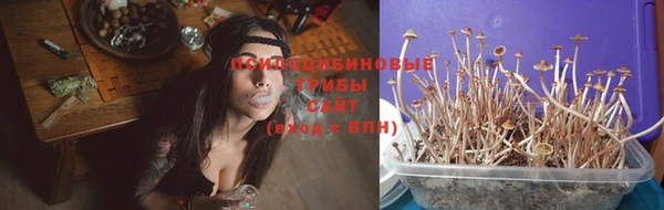 дмт Нягань