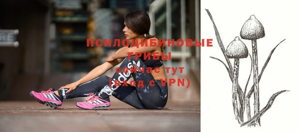 дмт Нягань