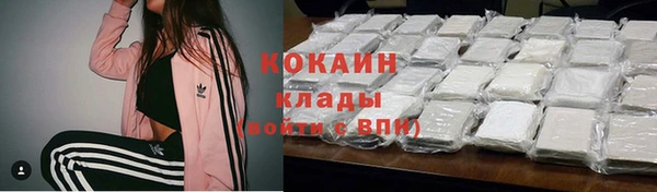 ПСИЛОЦИБИНОВЫЕ ГРИБЫ Нязепетровск