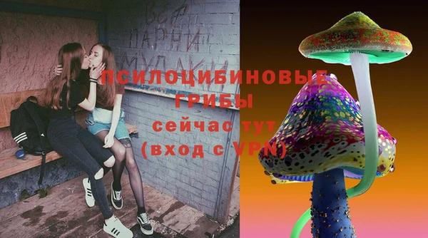 ПСИЛОЦИБИНОВЫЕ ГРИБЫ Нязепетровск