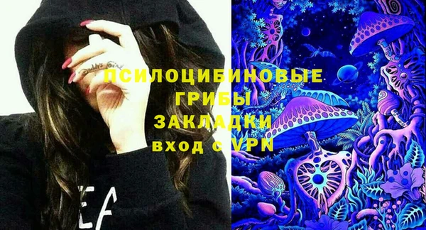 ПСИЛОЦИБИНОВЫЕ ГРИБЫ Нязепетровск
