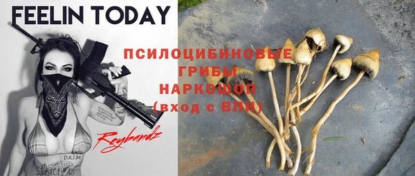 круглые Няндома