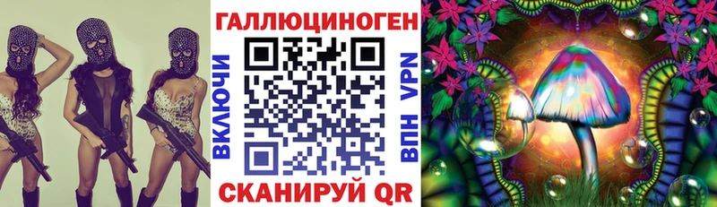 Псилоцибиновые грибы Psilocybe Шенкурск